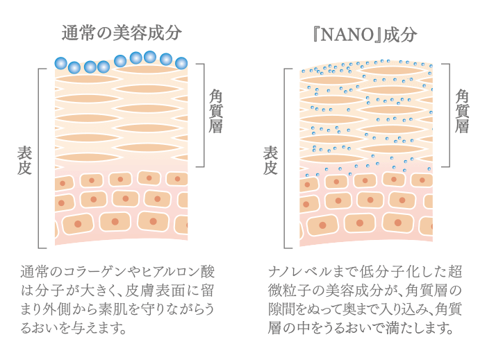 製品紹介｜美容ケア製品の販売・レッスン｜N-inスキンケアスタジオ