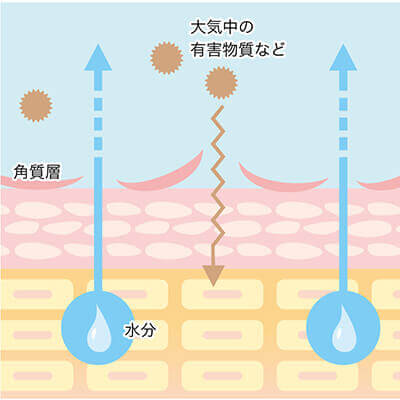 ドライ肌